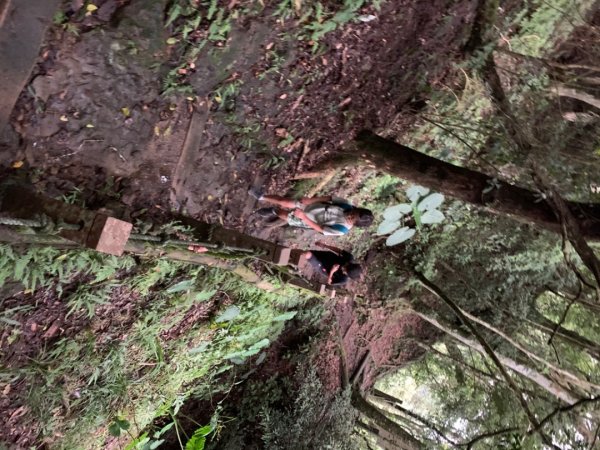 大湖馬拉邦山（小百岳）1065689