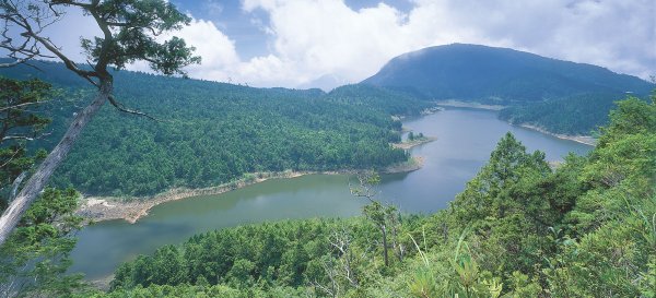 【新聞】太平山國家森林遊樂區109年8月1日開始試辦 2人即可預約翠峰景觀道路付費交通接駁服務