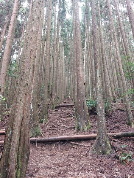 民都有山張學良故居202207091799091