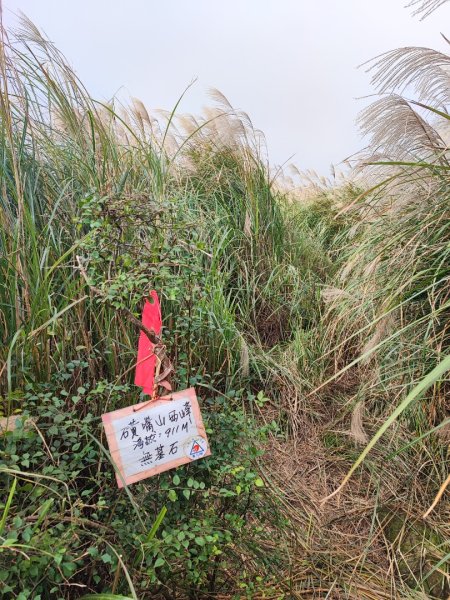 磺嘴山-陽明山國家公園申請路線~12411365