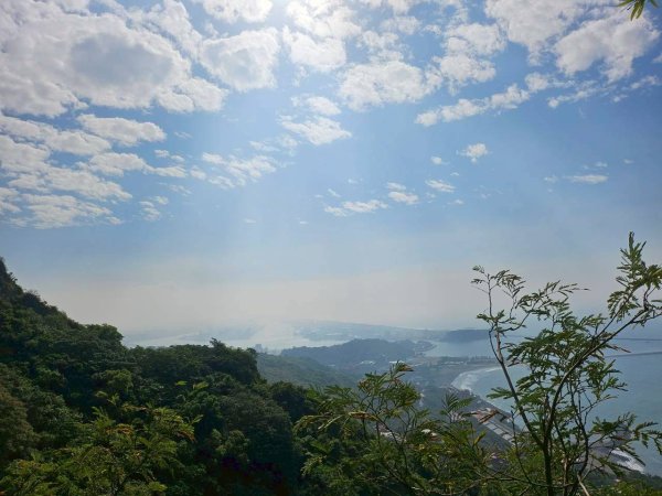 20251223柴山鯉龍山站 （文學院後步道）2969877