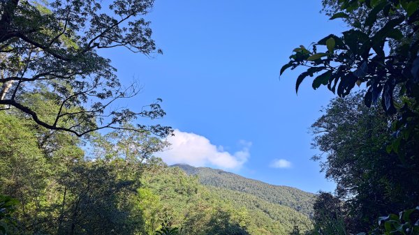 棲松縱走未竟2918309