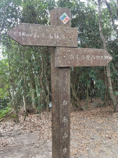 步道巡訪員│白毛山步道1月巡訪日誌812603