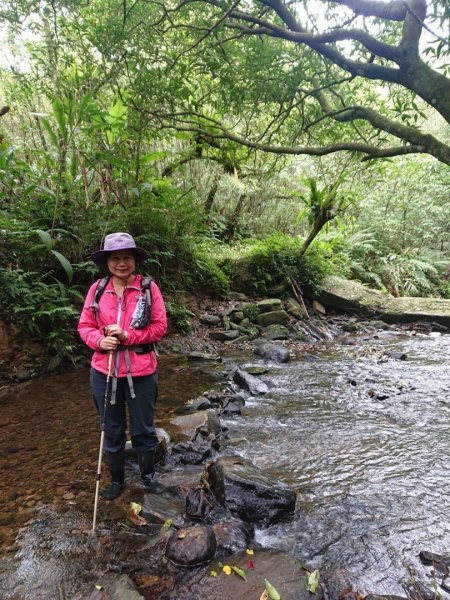 璀璨百年淡蘭古道～崩山坑古道、溪尾寮山、保城坑古道、虎豹潭步道O走1313478