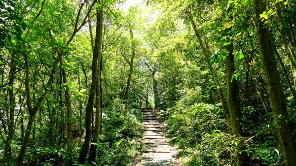 內雙溪自然中心2808697