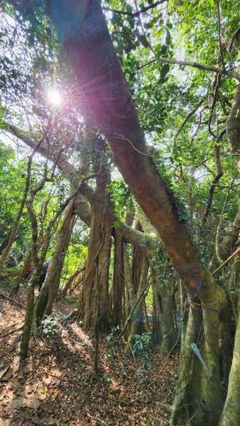 【恆春縱走】斯卡羅縱走2769718