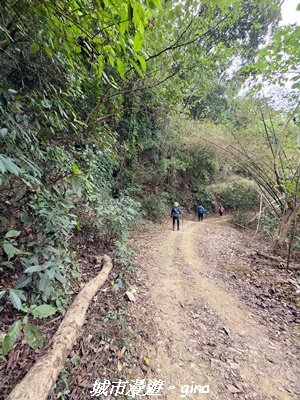【屏東來義】小百岳棚集山x棚集下山O 繞3013096