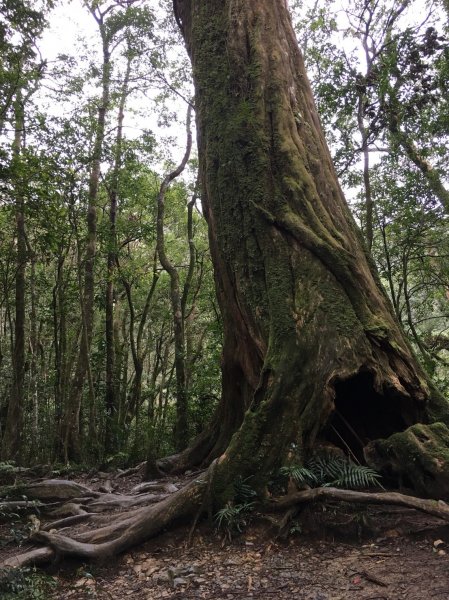 雨神山友：終於中籤的北插天山539954