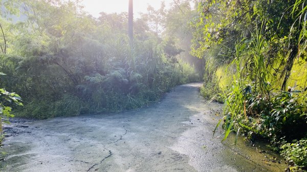 [台南楠西]阿拉溪斜瀑布群|天然双浴缸瀑布|網美IG熱門打卡秘境1456997