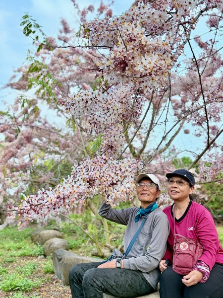 楠西悠遊(鹿陶洋.爐芝潭山)  2026.3.263027452