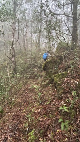 芃芃山西北稜大內台2693950