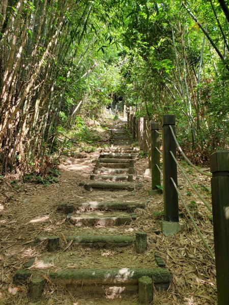 【台中 | 小百岳 聚興山】1108534