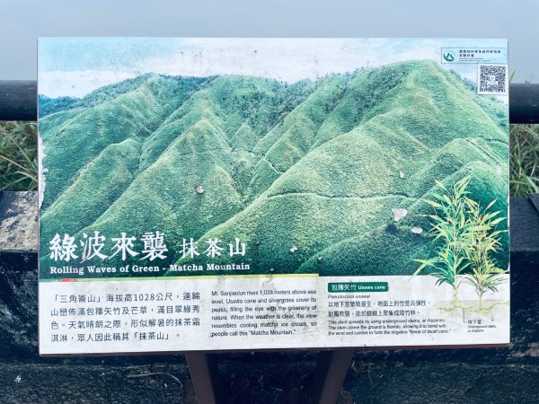 20250329 抹茶山-聖母登山步道2758940