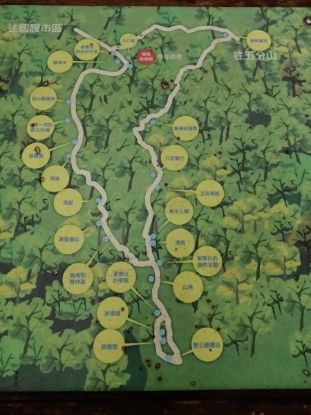 基隆市荖寮坑古道+十分古道(暖東舊道)+頂子寮山(嶺頭土地公)P字走2821490