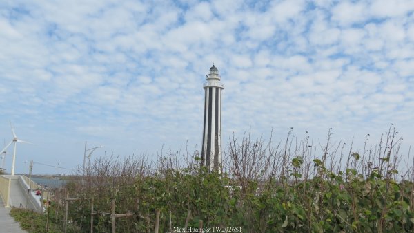 《彰化》海空夕照｜王功燈塔及芳苑海空步道健行賞冬候鳥202601102980282