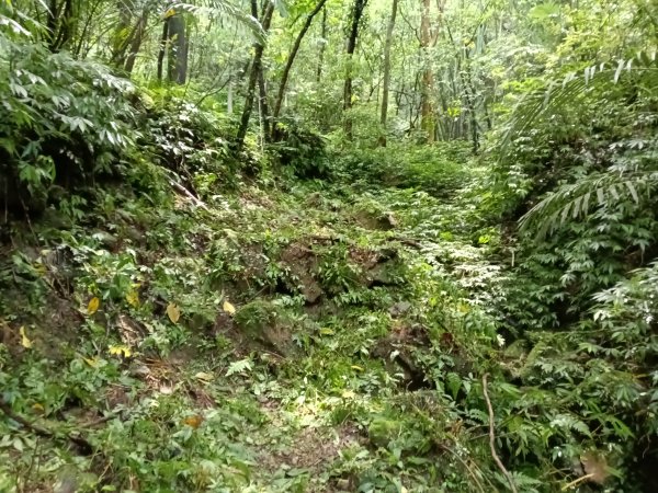 平溪區三功大厝+番子坑山+千階嶺步道O型2781130