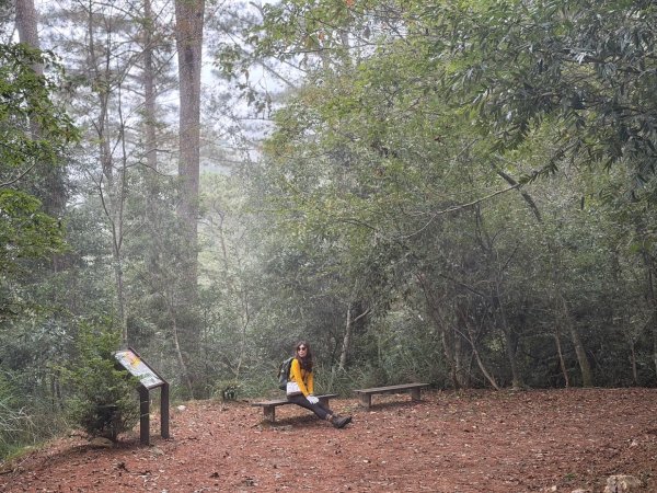 雪霸國家公園 雪見遊憩區 東洗水山2928589