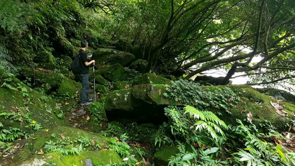 北勢溪古道 濕滑挑戰小腿肌598057