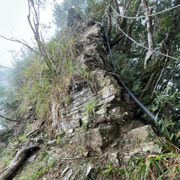 20251115_藤枝山（高雄小百岳）2941543