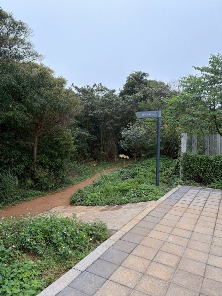 新北 林口 國際AI智慧園區-工一森林小徑-雪花步道-祖師巖登山步道-湖內公園3019095