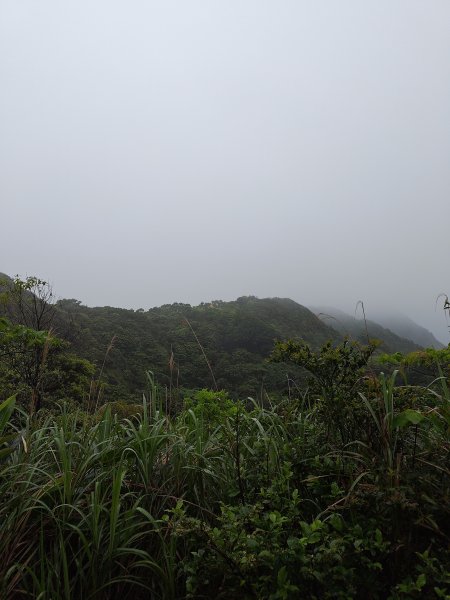 20260327茶壺山3024500