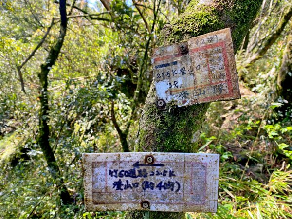 魯壁山、東穗山、島田三山、高台山縱走  881729