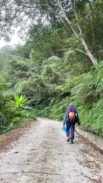 尖石🌳羅山林道野營-油羅山-竹苗小百岳3133077