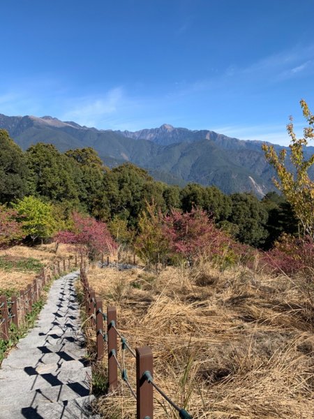 梨山賓館步道875964
