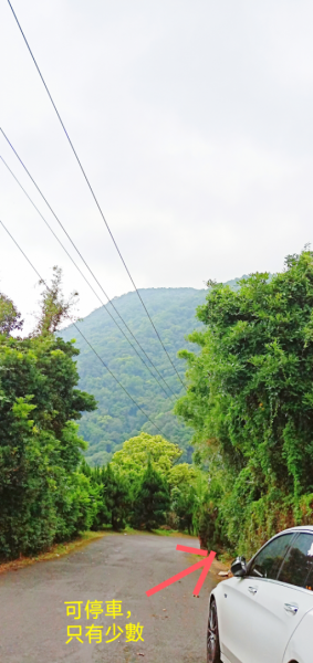 天母古道 當地非常熱門的健行步道585144