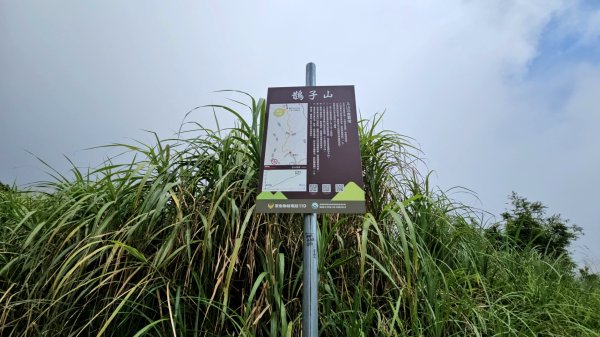 宜蘭小百岳鵲子山O走3083269