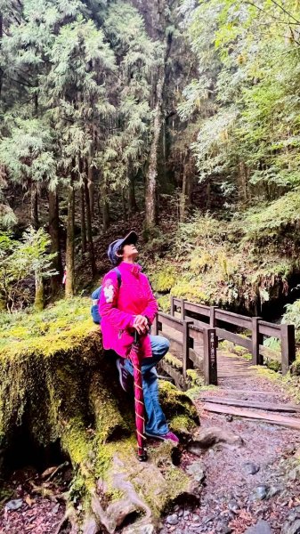 🌈3/28（六）觀霧檜山巨山步道×瀑布步道✨FB：熊熊趴爬走🌈3025247