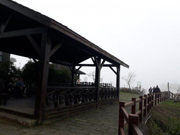 嘉義二延平步道觀雲瀑20181208478145