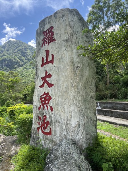 [漫遊縱谷 愛在花東-05/10] 2024_0811 羅山村竹林步道2572907