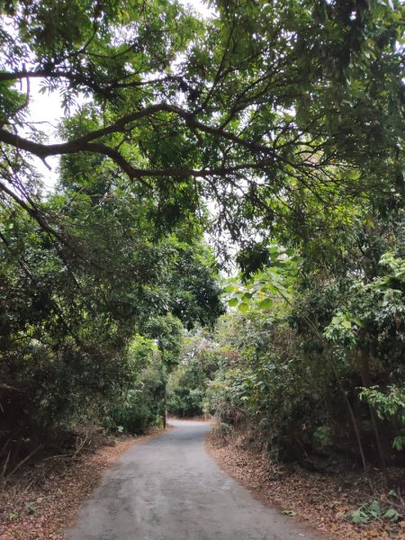 2023.12.23 高雄大崗山2834928