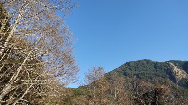 塔關山1633203