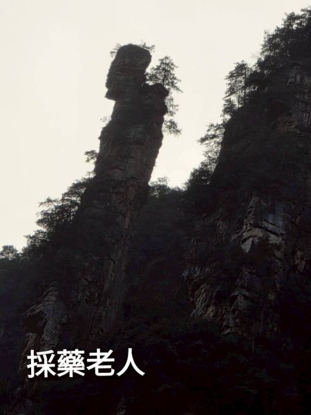 2025/11/8-10張家界園區2939347