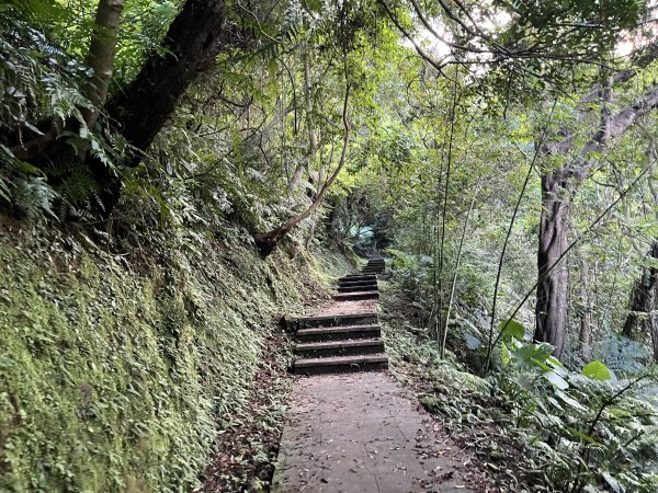 [微笑山線_第六段] 2025_0807 二格山系_和美山螢火蟲段2854617