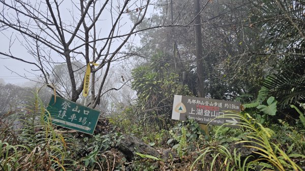 【馬年走馬山，馬到就成功！】🐴馬年馬路要走，馬那邦🏔️也要登！O繞11K，爬升900M，🥾腿在2977170