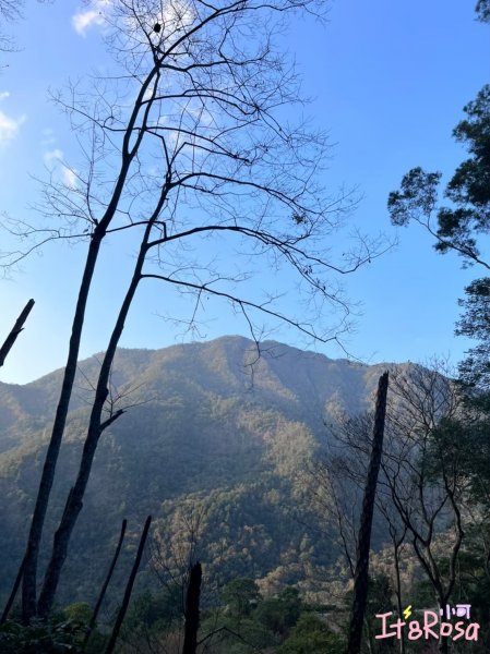 唐麻丹山-谷關七雄 中級山2337169