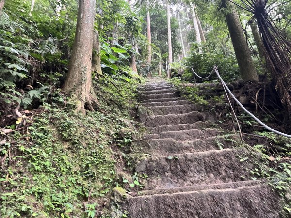 [皮皮獅Hike客任務-03/10] 2024_0720 五指山橫向登山步道2557168