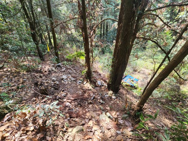 20260321貓頭山西關刀山能高瀑布O型3043806