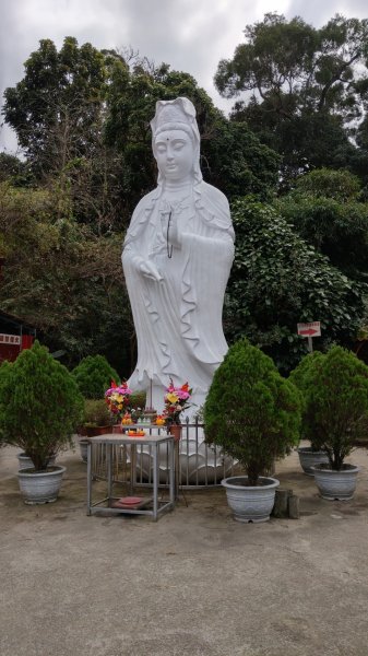 大坑9號9-1步道819544