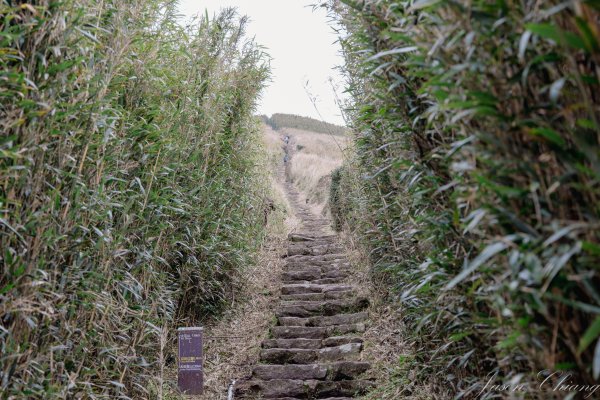 [台北]大屯山2693393