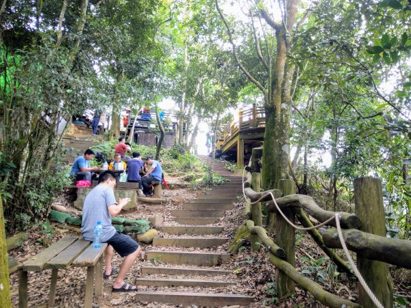 頭嵙山(小百岳#41)大坑4,5,1步道1003689