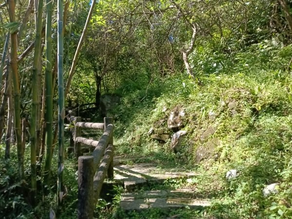 汐止區白雲古道+白雲寺O型2911974