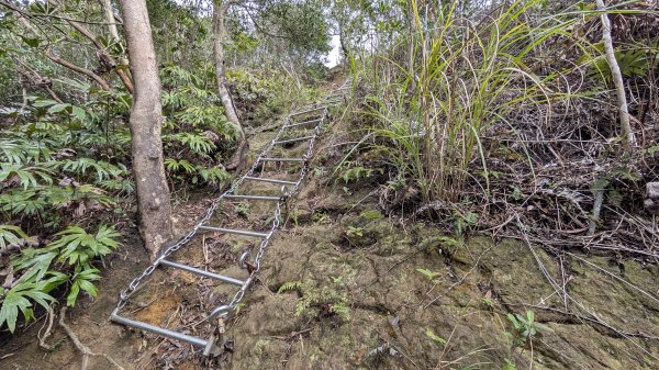 114.12.14黃帝殿西峰-天王峰-黃帝殿東峰之旅2962028