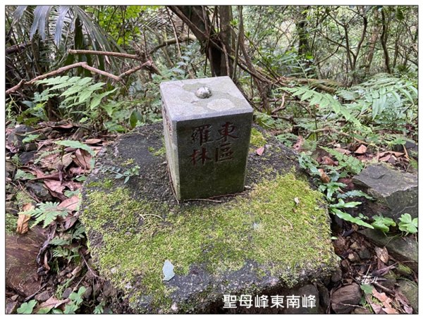 聖母峰、三角崙山 (抹茶山) 連走2802189