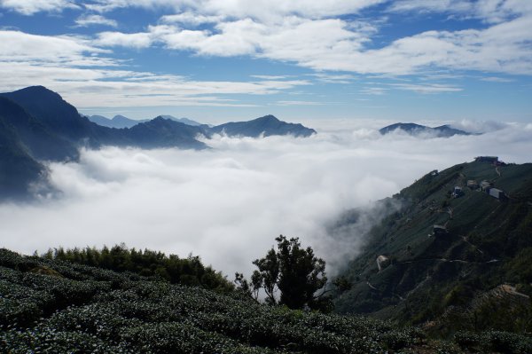 南投 鹿谷 龍鳳山、龍鳳峽山、三叉崙山、水桶寮山、內樹皮山、羊頭崙山、志騰山、竹崙山、溪頭山2962309