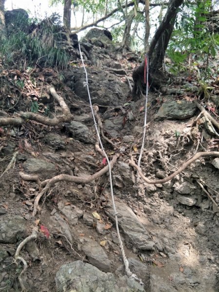 小百岳:白雲山1323202