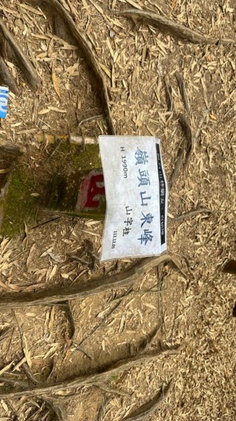 忘憂森林.金柑樹山2668886